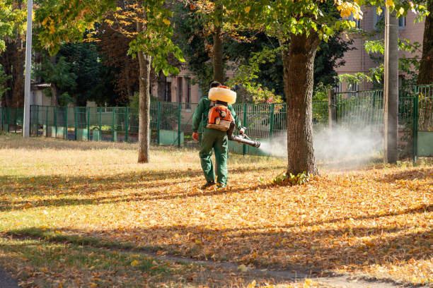 Best Exterminator Services  in Yarmouth Port, MA