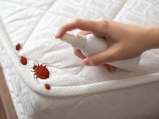 Pest Control Cost in Yarmouth Port, MA